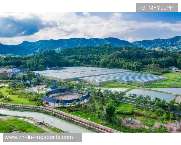 体育赋能村庄复兴、促进城乡交融开展！2025青岛市第三届村庄运动嘉年华收官